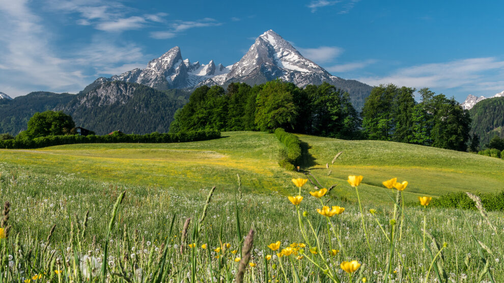 TdS Flair Sondermodell